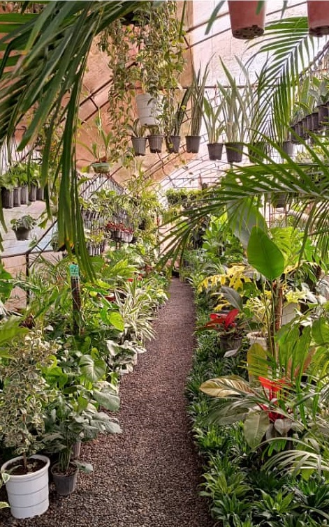 طراحی و اجرای فضای سبز