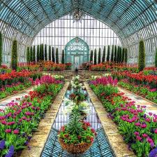 فروش گیاهان دارویی و گیاهان معطر