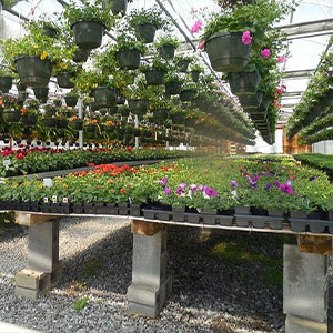 گلدان های سفالی